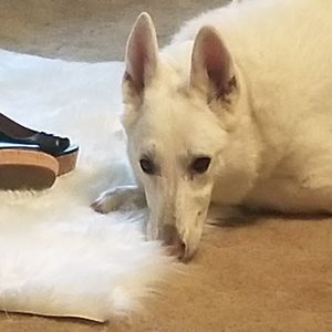 Lily loves to Posh!